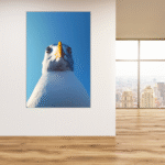 Möwe